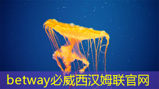 廣告機智慧商顯:實現商業展示的新突破! 廣告機智慧商顯:實現商業展示的新突破!