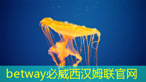 betway必威:移動辦公利器:手機wifi投屏讓會議更智能高效! betway必威:移動辦公利器:手機wifi投屏讓會議更智能高效!