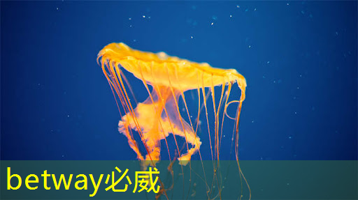 現代物流管理 智能物流 現代物流管理 智能物流