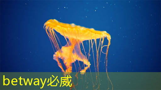 湖州智慧城市展廳運營情況 湖州智慧城市展廳運營情況