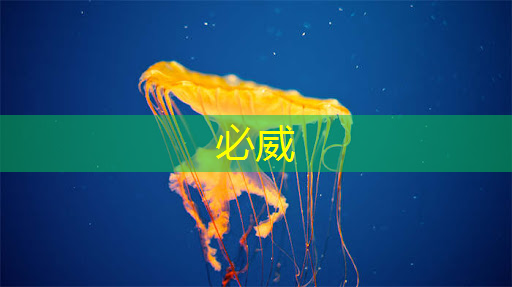 <strong>betway必威中國(guó)官方網(wǎng)站:智慧城市如何交易產(chǎn)品</strong> <strong>betway必威中國(guó)官方網(wǎng)站:智慧城市如何交易產(chǎn)品</strong>