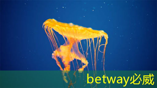 betway必威:工業互聯網實訓室設備清單 betway必威:工業互聯網實訓室設備清單