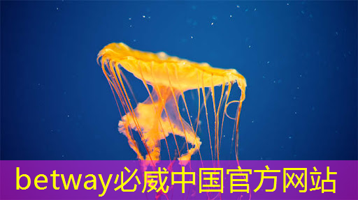 betway必威:工業(yè)互聯(lián)網(wǎng)運營團隊有哪些 betway必威:工業(yè)互聯(lián)網(wǎng)運營團隊有哪些