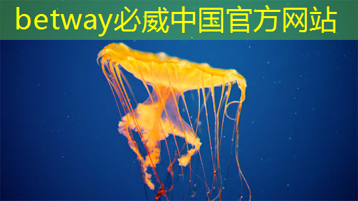 betway必威西漢姆聯(lián)官網(wǎng):主控芯片中的電源管理技術,解析主控芯片中的電源管理策略! betway必威西漢姆聯(lián)官網(wǎng):主控芯片中的電源管理技術,解析主控芯片中的電源管理策略!