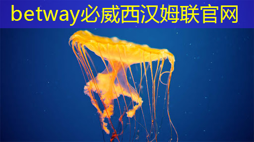 必威:智慧商顯設(shè)備點(diǎn)燃商業(yè)展示創(chuàng)造力 必威:智慧商顯設(shè)備點(diǎn)燃商業(yè)展示創(chuàng)造力