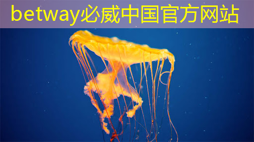 betway必威西漢姆聯官網:新型智慧城市探索地點 betway必威西漢姆聯官網:新型智慧城市探索地點