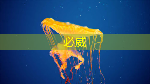 必威:商顯智慧屏:點(diǎn)亮品牌故事,吸引更多關(guān)注 必威:商顯智慧屏:點(diǎn)亮品牌故事,吸引更多關(guān)注