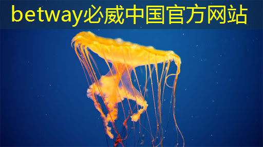 主控芯片中的存儲器技術(shù)與容量擴(kuò)展,了解主控芯片中的存儲器選型! 主控芯片中的存儲器技術(shù)與容量擴(kuò)展,了解主控芯片中的存儲器選型!