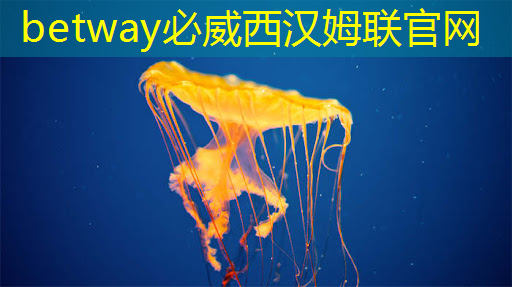 betway必威:四維投影與四維智慧的巔峰對決:打破認知的束縛 betway必威:四維投影與四維智慧的巔峰對決:打破認知的束縛