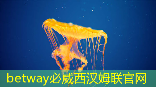 betway必威：游戲世界與住宿領域碰撞！投影游戲智慧酒店即將問世