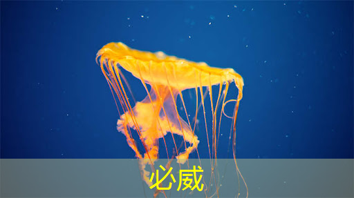 betway必威中國官方網站:商顯智慧屏:讓你的廣告與眾不同! betway必威中國官方網站:商顯智慧屏:讓你的廣告與眾不同!