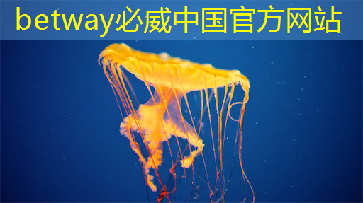 betway必威西漢姆聯官網:主控芯片的可靠性與容錯機制,了解主控芯片在系統穩定性中的重要性! betway必威西漢姆聯官網:主控芯片的可靠性與容錯機制,了解主控芯片在系統穩定性中的重要性!