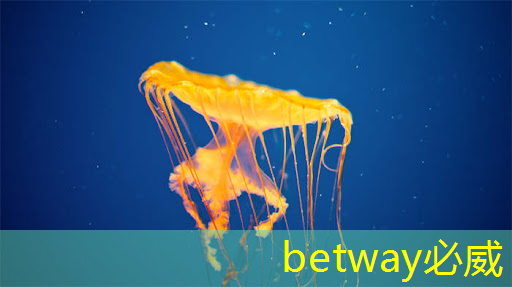 betway必威西漢姆聯官網:全球首款!這一芯片成功量產,安全監測迎來新紀元! betway必威西漢姆聯官網:全球首款!這一芯片成功量產,安全監測迎來新紀元!