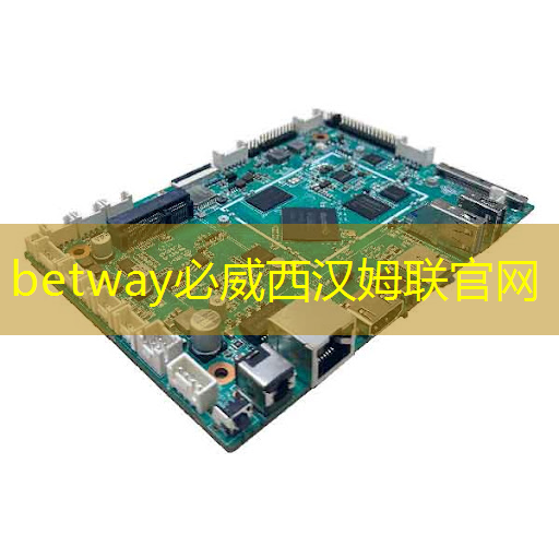 betway必威中國官方網站:芯片分類基礎知識 主要種類及標準 betway必威中國官方網站:芯片分類基礎知識 主要種類及標準