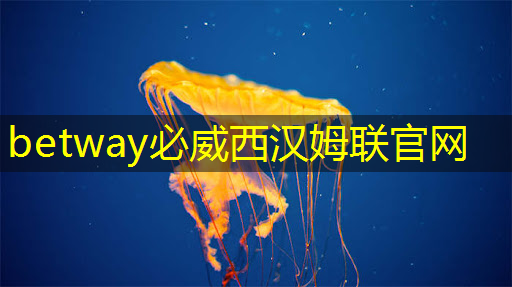 面對美國挑起的芯片之戰,我們擁有九大優勢,必將取得最終勝利! 面對美國挑起的芯片之戰,我們擁有九大優勢,必將取得最終勝利!