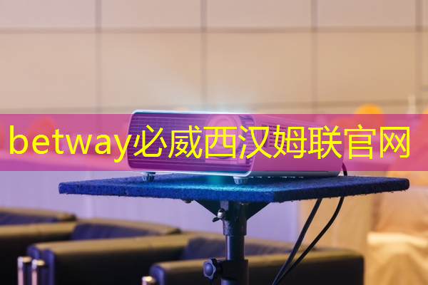 betway必威中國(guó)官方網(wǎng)站:?jiǎn)斡浾拢很囈?guī)級(jí)高性能芯片的創(chuàng)新,需要產(chǎn)業(yè)鏈各環(huán)節(jié)協(xié)同 | 第六屆金輯獎(jiǎng) · 中國(guó)汽車產(chǎn)業(yè)影響力人物 betway必威中國(guó)官方網(wǎng)站:?jiǎn)斡浾拢很囈?guī)級(jí)高性能芯片的創(chuàng)新,需要產(chǎn)業(yè)鏈各環(huán)節(jié)協(xié)同 | 第六屆金輯獎(jiǎng) · 中國(guó)汽車產(chǎn)業(yè)影響力人物