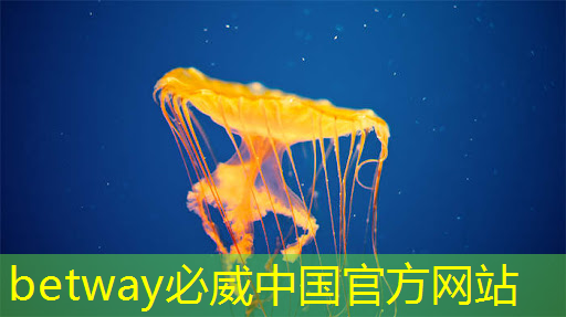 betway必威:RK3399芯片在消費(fèi)產(chǎn)品中的應(yīng)用及PCB設(shè)計(jì)關(guān)鍵注意事項(xiàng) betway必威:RK3399芯片在消費(fèi)產(chǎn)品中的應(yīng)用及PCB設(shè)計(jì)關(guān)鍵注意事項(xiàng)