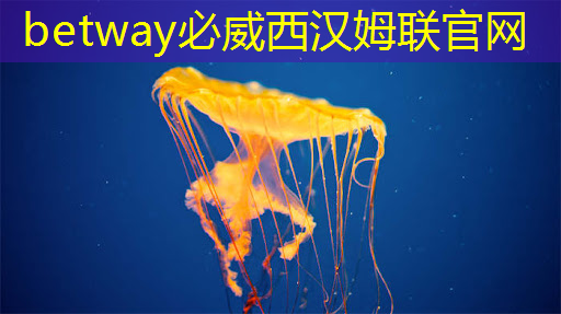 betway必威中國官方網站:湃方科技CEO武通達:高能效邊緣AI芯片在工業AIoT中的應用實踐|公開課預告 betway必威中國官方網站:湃方科技CEO武通達:高能效邊緣AI芯片在工業AIoT中的應用實踐|公開課預告