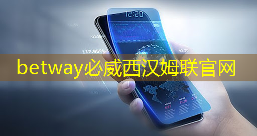 betway必威中國官方網(wǎng)站：上海市芯片制造與封裝電子電鍍專題研討會(huì)在上海大學(xué)順利召開！