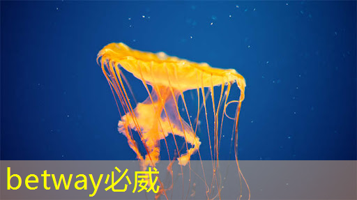 端到端AI加速只需單芯片？AMD二代Versal自適應(yīng)SoC帶來邊緣新突破