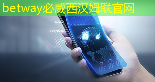 betway必威：極越倒閉了，這款8650芯片+激光雷達(dá)的新勢力還能買嗎？