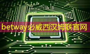 betway必威中國官方網站:【拜登】拜登加劇與中國的人工智能芯片戰 betway必威中國官方網站:【拜登】拜登加劇與中國的人工智能芯片戰