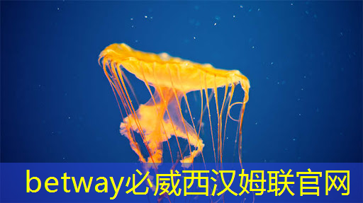 betway必威:拜登再宣布一筆半導體補貼:用數字孿生加速芯片設計和生產 betway必威:拜登再宣布一筆半導體補貼:用數字孿生加速芯片設計和生產