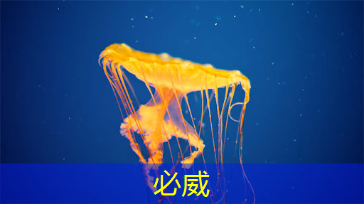 betway必威西漢姆聯官網:【毫米波傳感器】采用單芯片毫米波傳感器實現前沿的智能自主 betway必威西漢姆聯官網:【毫米波傳感器】采用單芯片毫米波傳感器實現前沿的智能自主