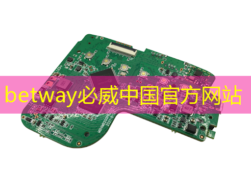 betway必威:張強(qiáng):中國(guó)汽車智能芯片行業(yè)里的行動(dòng)派 betway必威:張強(qiáng):中國(guó)汽車智能芯片行業(yè)里的行動(dòng)派