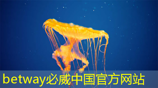 betway必威中國官方網站:國內高端模擬芯片廠商艾創微授權世強硬創代理,構建互聯網生態 betway必威中國官方網站:國內高端模擬芯片廠商艾創微授權世強硬創代理,構建互聯網生態
