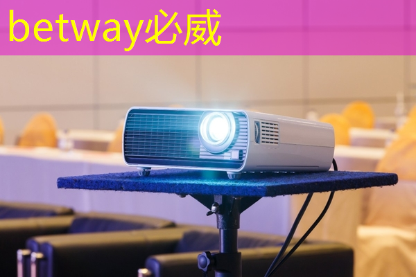 betway必威中國官方網站:11月會議預告 | 智能顯示與芯片集成研討會 betway必威中國官方網站:11月會議預告 | 智能顯示與芯片集成研討會