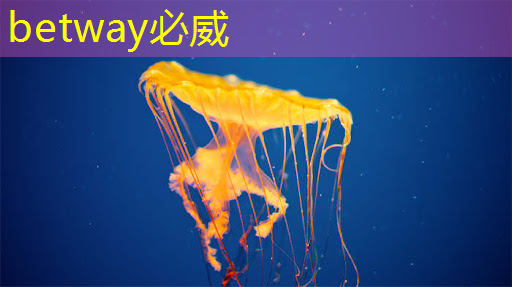 betway必威西漢姆聯(lián)官網(wǎng):谷歌宣布量子芯片取得重大突破 betway必威西漢姆聯(lián)官網(wǎng):谷歌宣布量子芯片取得重大突破