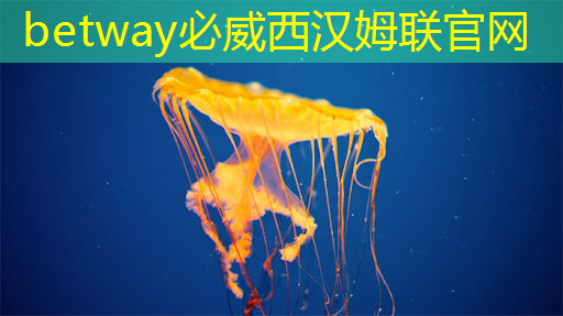 數字城市和智慧城市效果 數字城市和智慧城市效果