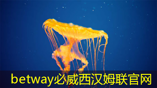 工業互聯網硬件品牌有哪些 工業互聯網硬件品牌有哪些