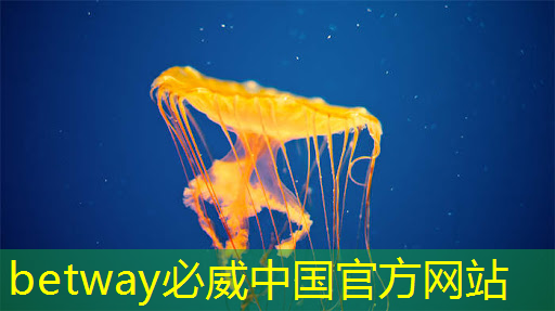 智慧城市停車建設宣傳 智慧城市停車建設宣傳
