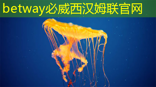 怎么評(píng)價(jià)工業(yè)互聯(lián)網(wǎng)行業(yè) 怎么評(píng)價(jià)工業(yè)互聯(lián)網(wǎng)行業(yè)