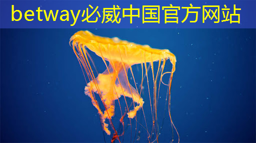 城市智慧城市照明 城市智慧城市照明