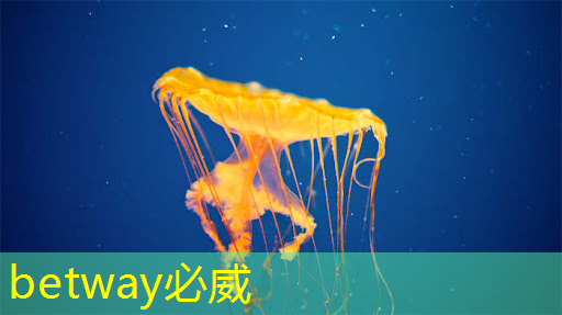 大興智能建筑與智慧城市哪家好 大興智能建筑與智慧城市哪家好