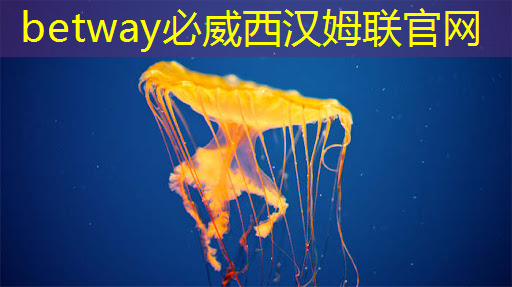 無錫agv智能物流系統 無錫agv智能物流系統