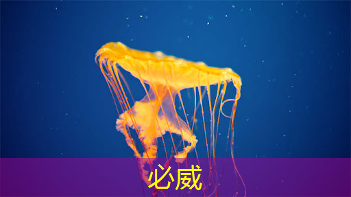智能商顯屏幕:為店主帶來(lái)更高的回報(bào)率 智能商顯屏幕:為店主帶來(lái)更高的回報(bào)率