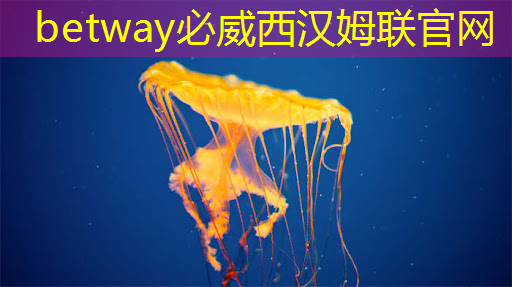 廣告機智慧商顯:秘密武器改變您的商業策略! 廣告機智慧商顯:秘密武器改變您的商業策略!