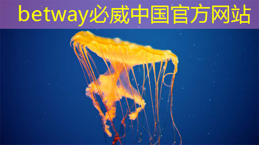 提升居民體驗,智能商顯引領智慧社區發展! 提升居民體驗,智能商顯引領智慧社區發展!