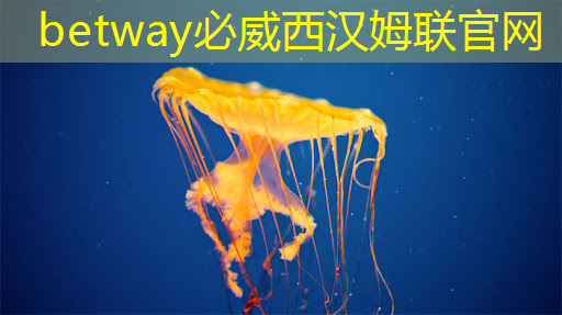 智慧商顯設備助力企業充分展示品牌魅力 智慧商顯設備助力企業充分展示品牌魅力