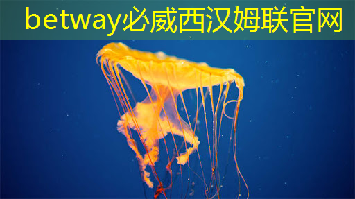 你知道投影儀 PCB 板的品牌有哪些嗎? 你知道投影儀 PCB 板的品牌有哪些嗎?