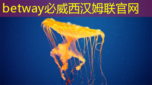 芝麻投影：定義您的家庭娛樂方式！