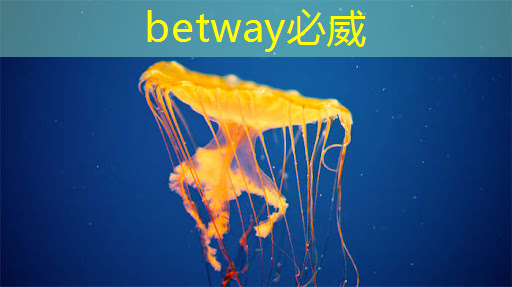 主控芯片的可靠性與容錯(cuò)機(jī)制，了解主控芯片在系統(tǒng)穩(wěn)定性中的重要性！