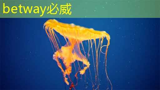 如何了解掌上游戲機(jī)芯片的規(guī)格和技術(shù)參數(shù)? 如何了解掌上游戲機(jī)芯片的規(guī)格和技術(shù)參數(shù)?