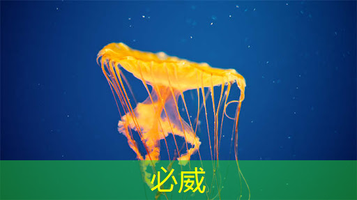 蘋果手機(jī)芯片的歷史演進(jìn) 蘋果手機(jī)芯片的歷史演進(jìn)