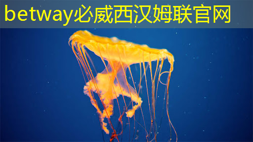 一顆白菜的“黑科技含金量”：從光追到芯片適配，拿來種地太虧了