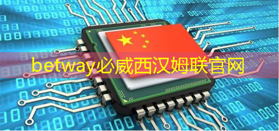 “蔚小理”、比亞迪紛紛下場造芯片背后,自動駕駛軟硬一體已成趨勢 “蔚小理”、比亞迪紛紛下場造芯片背后,自動駕駛軟硬一體已成趨勢